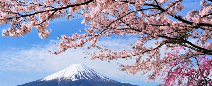 �g���Ö@(�����E���u����)���̂͂�